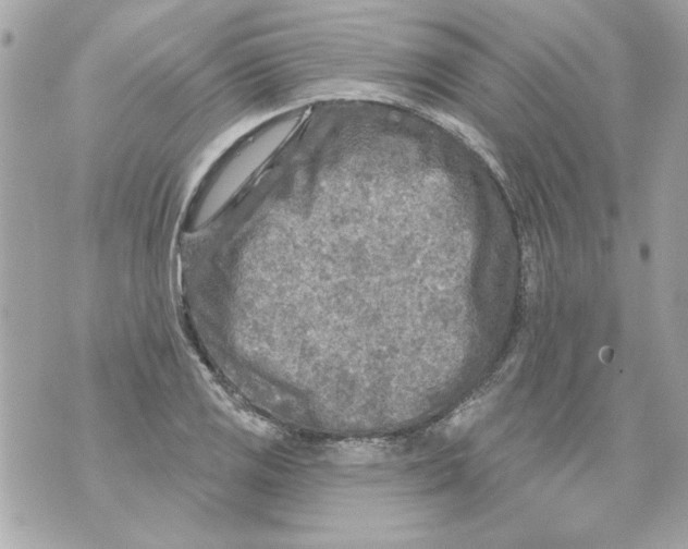 X0000070421125200607072327