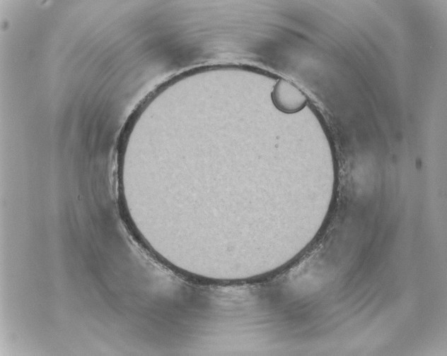 X0000070421126200607072327