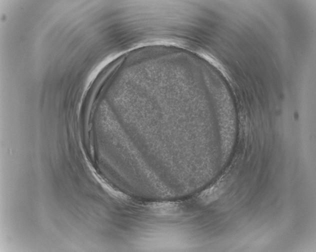 X0000070421127200607072328