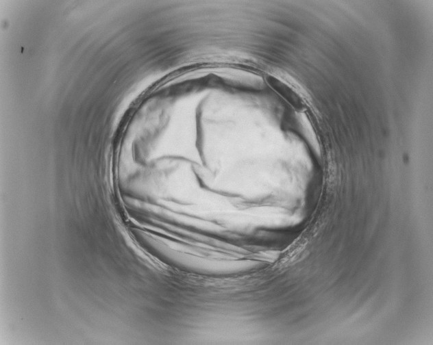 X0000070421128200607072328