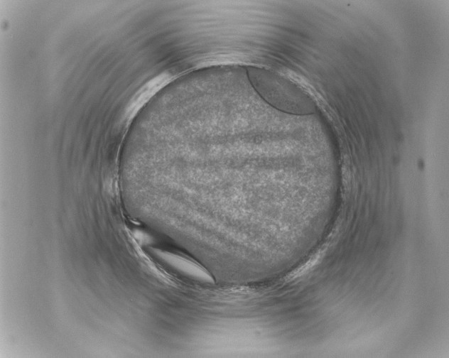 X0000070421129200607072328