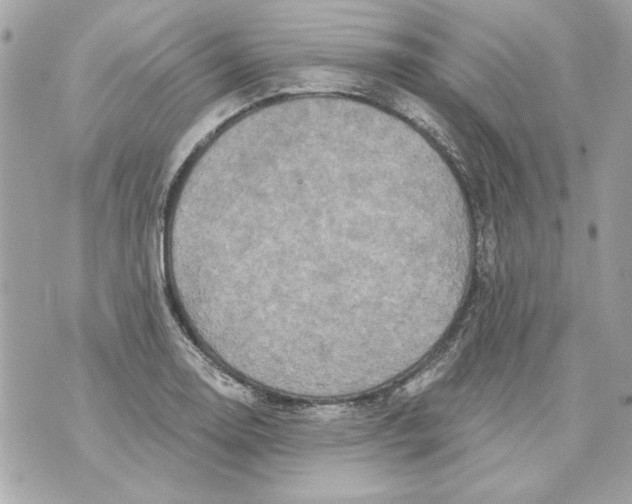 X0000070421130200607072328