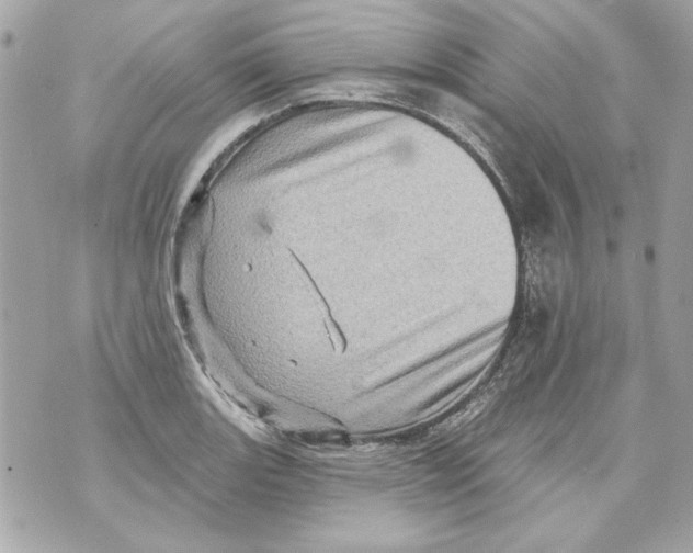 X0000070421131200607072328