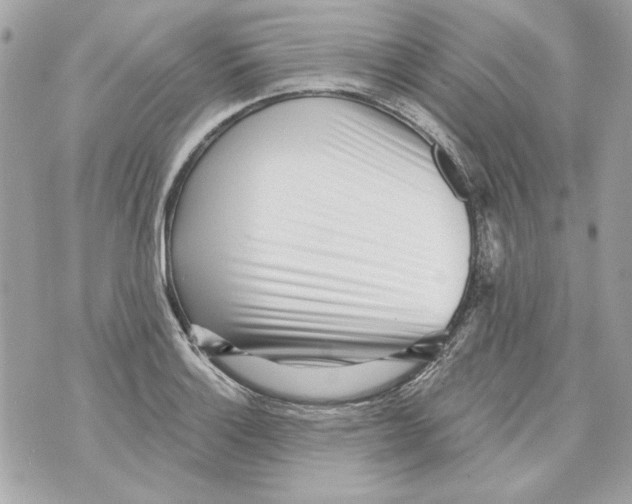 X0000070421132200607072328