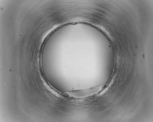 X0000070421134200607072328