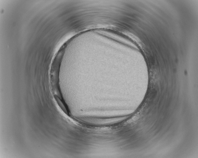 X0000070421135200607072328