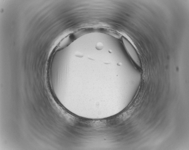 X0000070421139200607072328