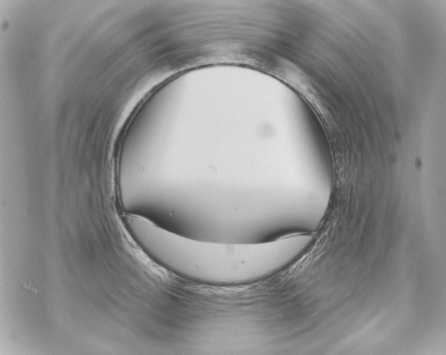 X0000070421140200607072328