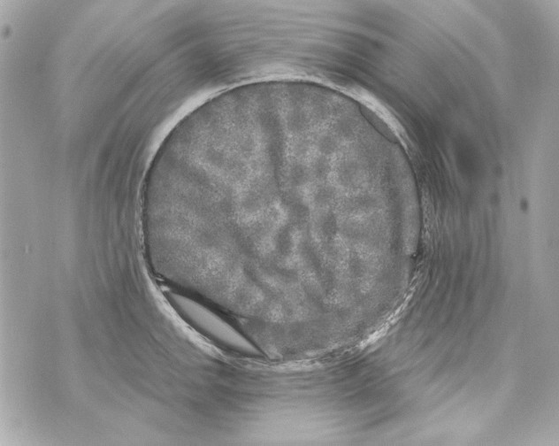 X0000070421142200607072328