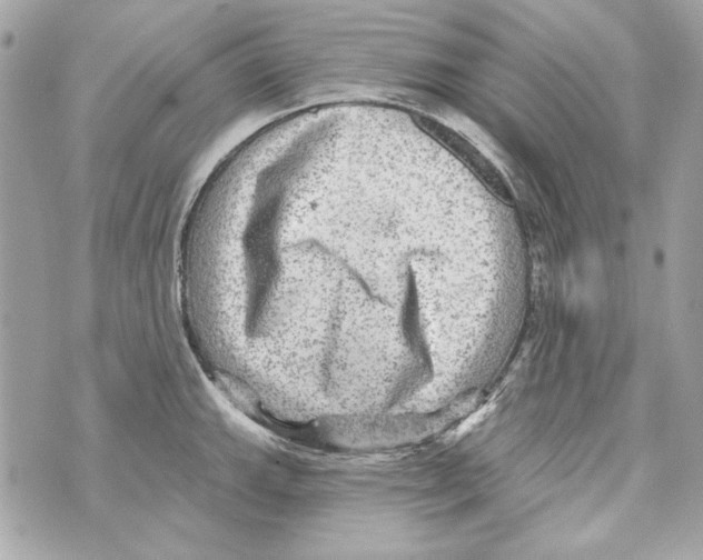 X0000070421143200607072328