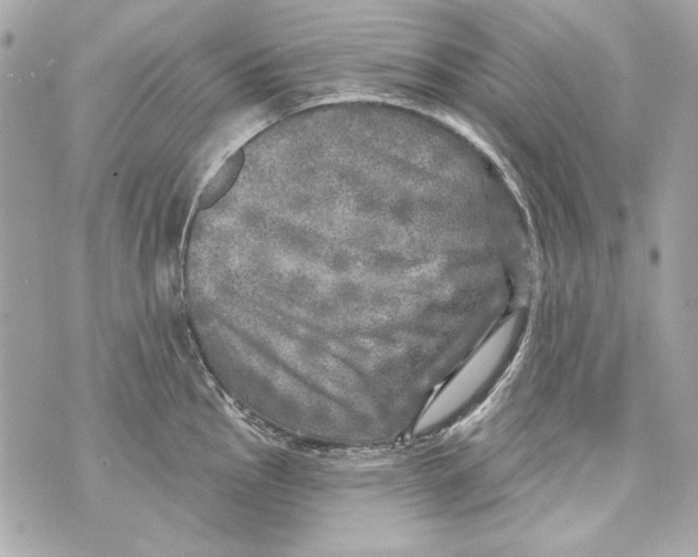 X0000070421145200607072328