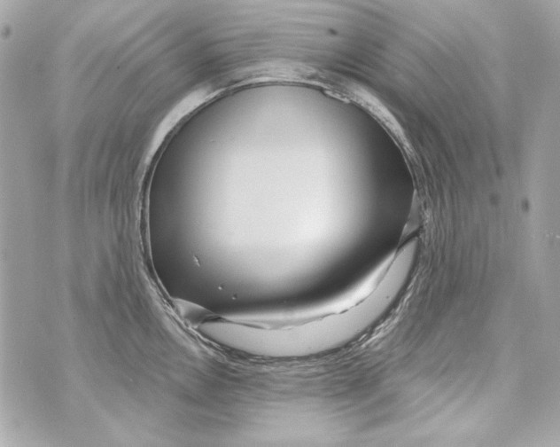 X0000070421146200607072328