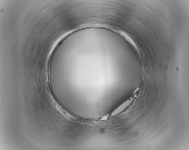 X0000070421148200607072328