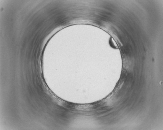 X0000070421150200607072328