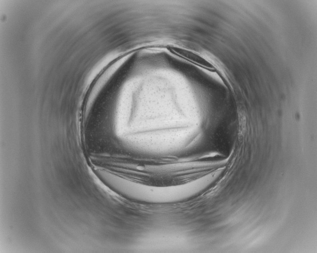 X0000070421151200607072328