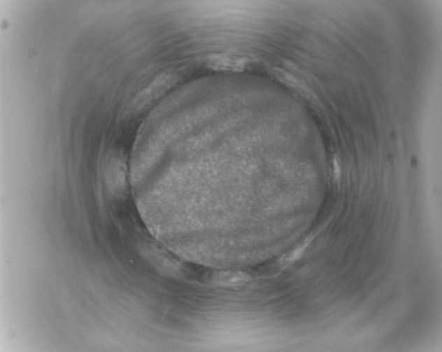 X0000070421154200607072327