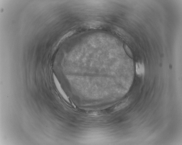 X0000070421155200607072327