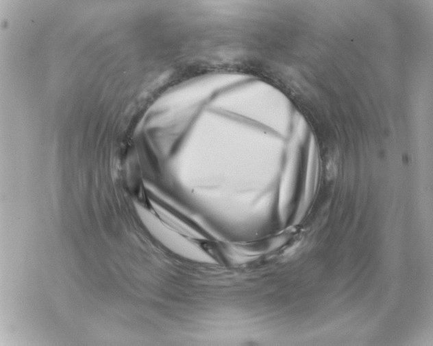 X0000070421156200607072327