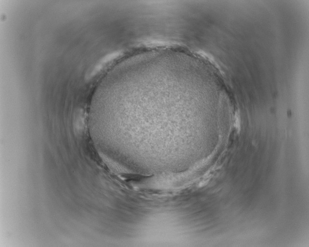 X0000070421157200607072327