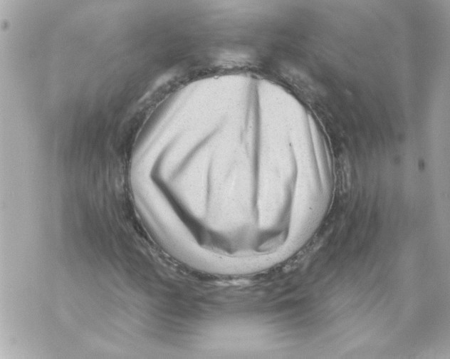 X0000070421158200607072327