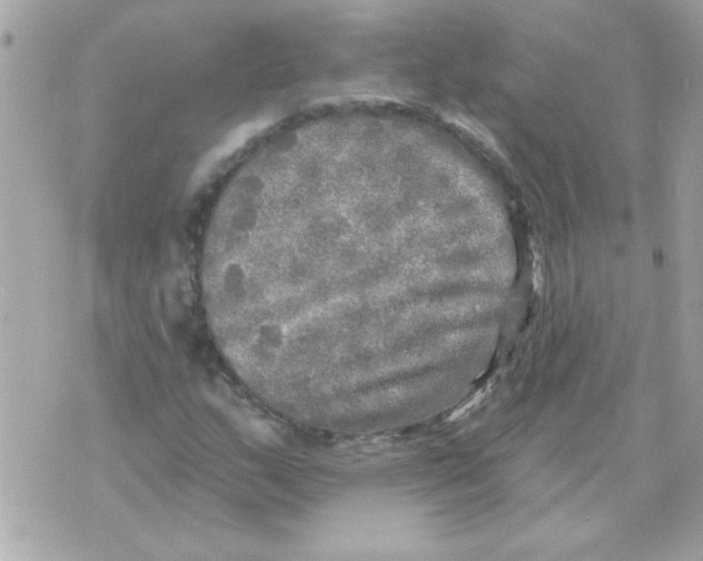 X0000070421159200607072327