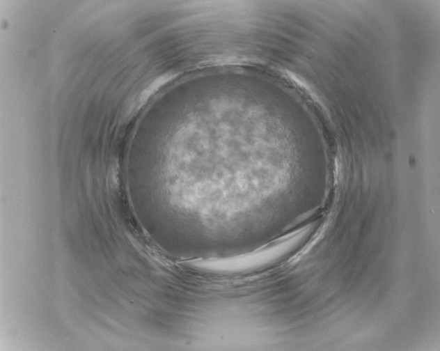 X0000070421161200607072327