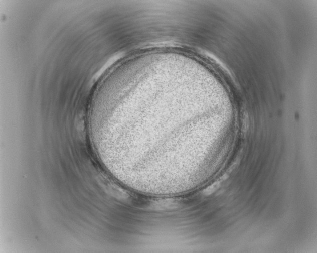 X0000070421162200607072327