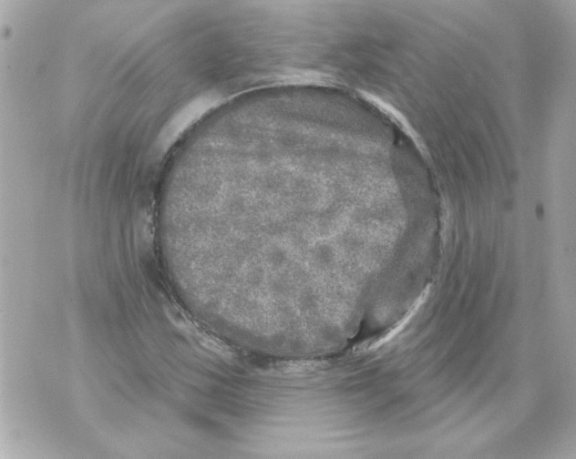 X0000070421163200607072327