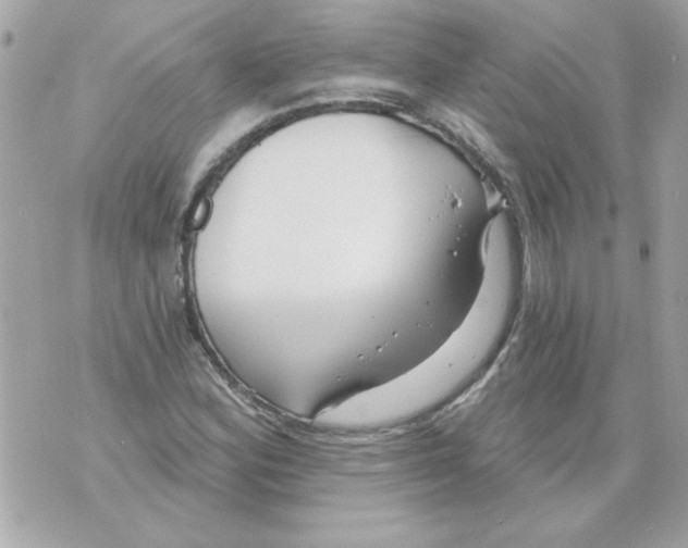 X0000070421164200607072327