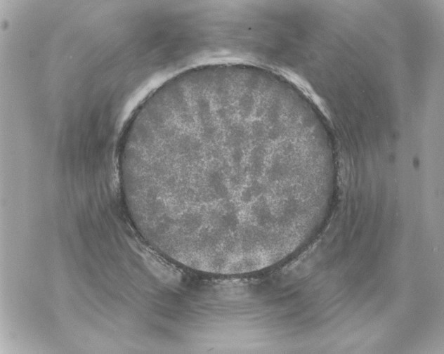 X0000070421167200607072327