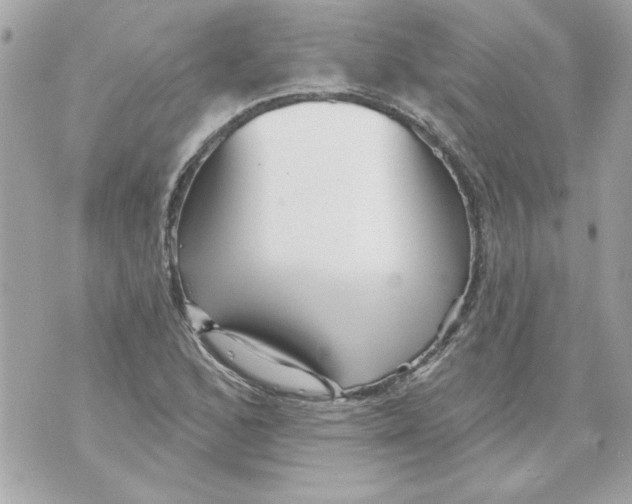 X0000070421168200607072327