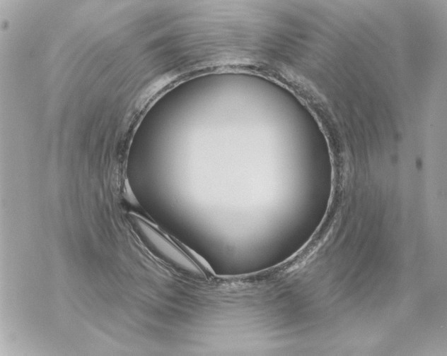 X0000070421169200607072327