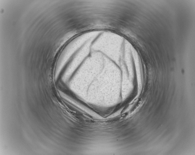 X0000070421170200607072327