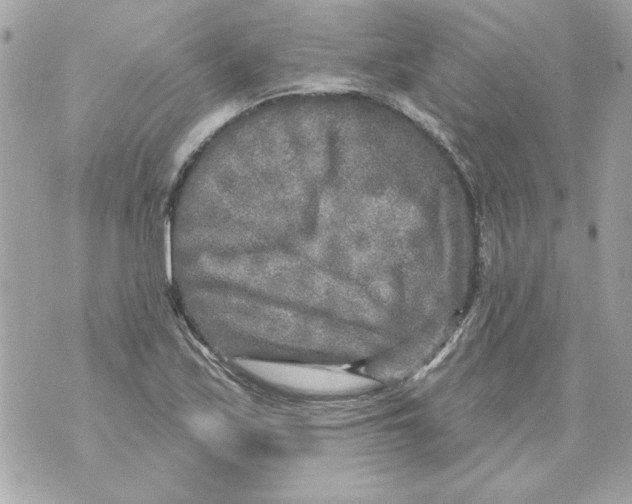 X0000070421171200607072327