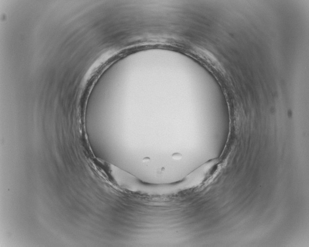 X0000070421172200607072327