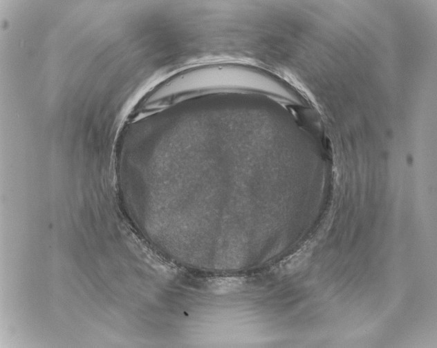 X0000070421173200607072327