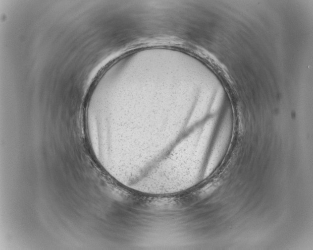 X0000070421174200607072327