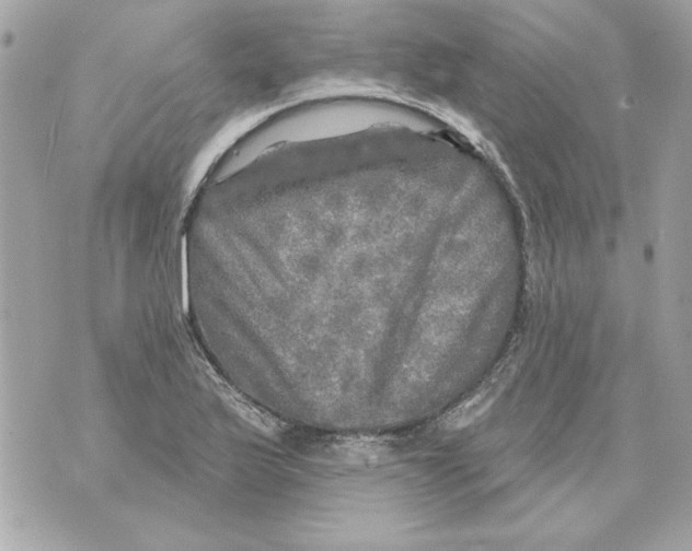 X0000070421175200607072327