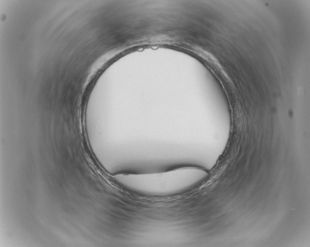 X0000070421176200607072327