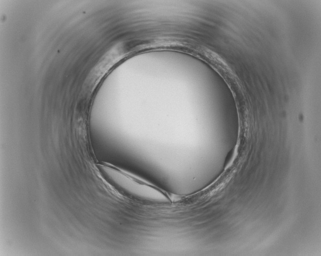 X0000070421177200607072327