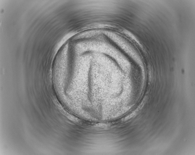 X0000070421178200607072327