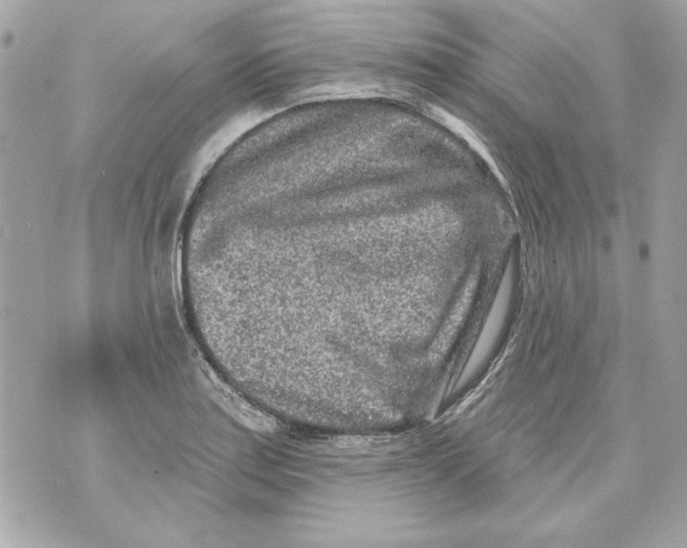 X0000070421179200607072327