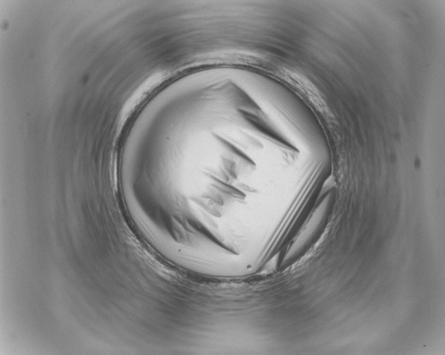 X0000070421180200607072327