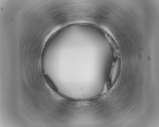 X0000070421181200607072327