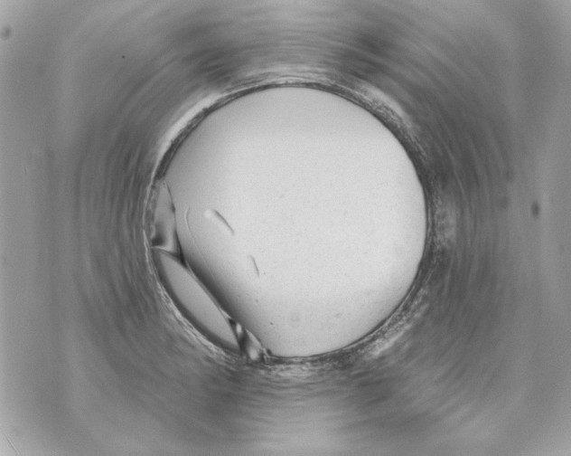 X0000070421182200607072327