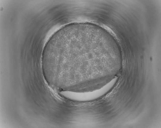 X0000070421183200607072327