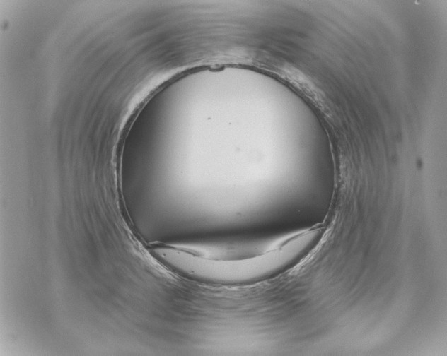 X0000070421184200607072327