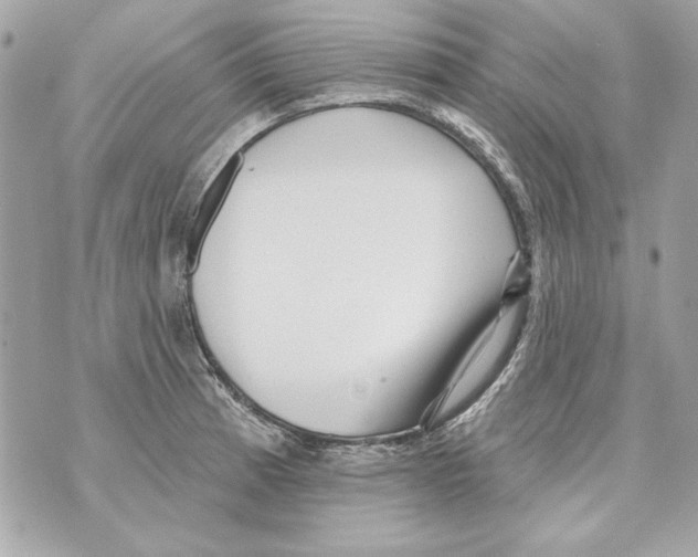 X0000070421185200607072327