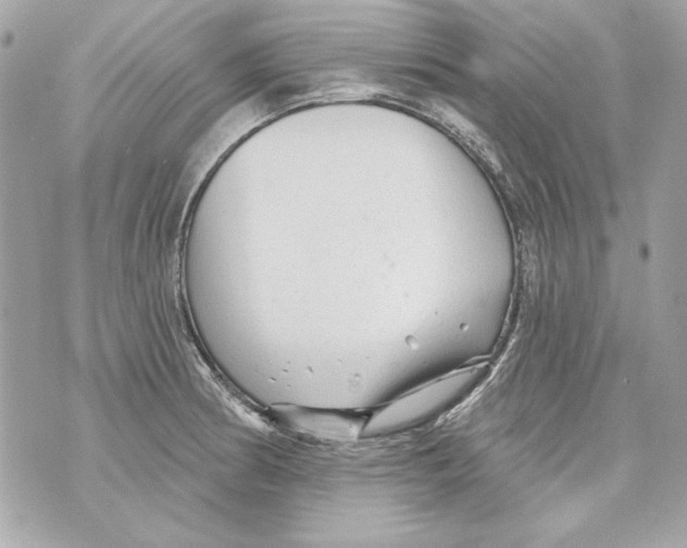 X0000070421186200607072327