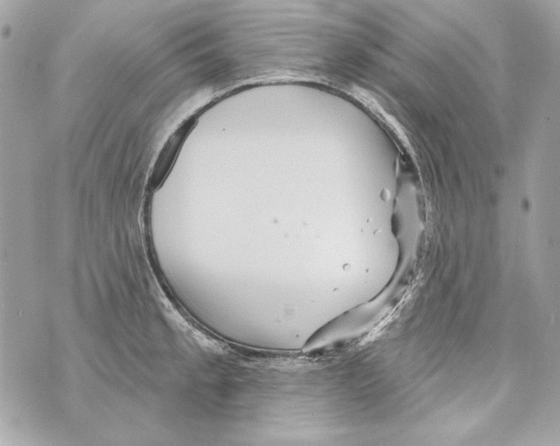 X0000070421189200607072327